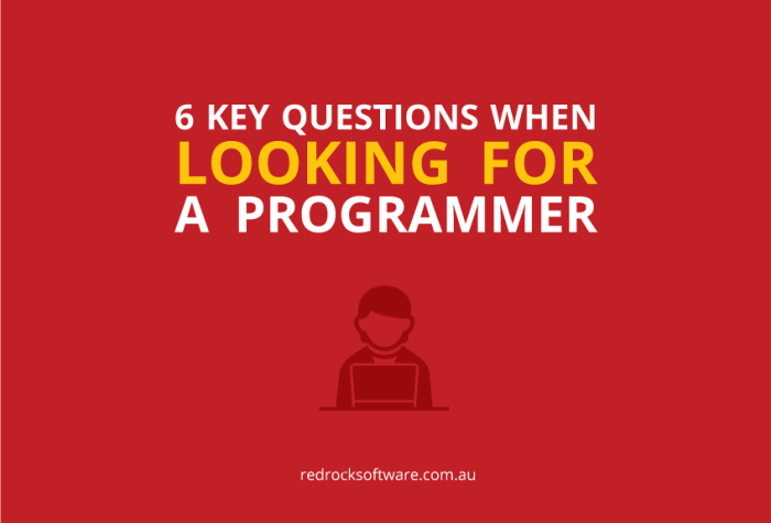 6 Questions When Looking For A Programmer
